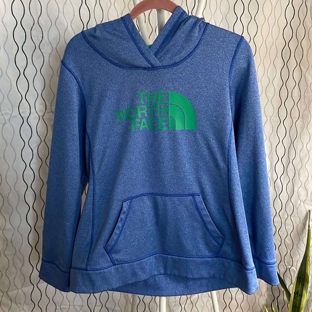 Lg EUC North Face hoodie